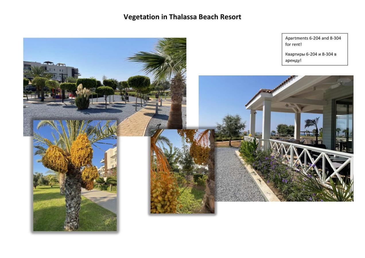 Seaside Modern Holiday Home For Family Vokolidha Dış mekan fotoğraf